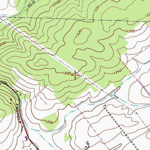 Topographic Map of Township of Ferguson, PA