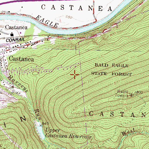 Topographic Map of Township of Castanea, PA