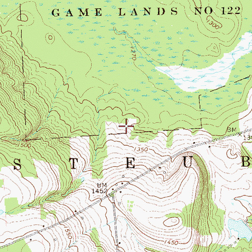 Topographic Map of Township of Steuben, PA