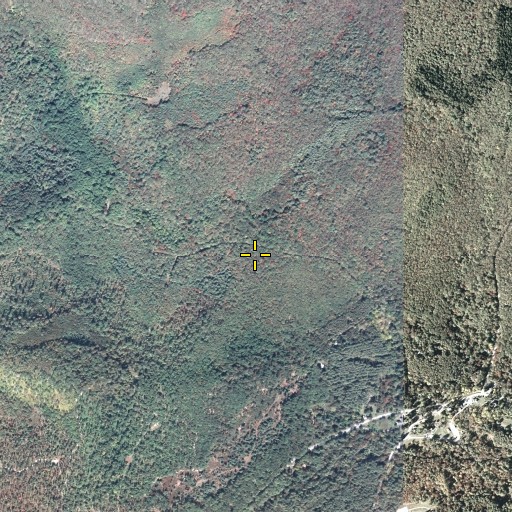 Aerial/Satellite Image of Township of Cooke, PA