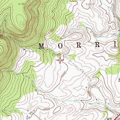 Topographic Map of Township of Morris, PA
