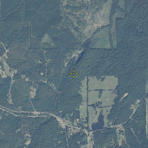 Aerial/Satellite Image of Linder Mountain, AL