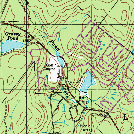 Topographic Map of Township of Thornhurst, PA