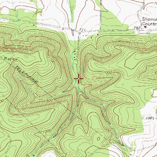 Topographic Map of Township of Shamokin, PA