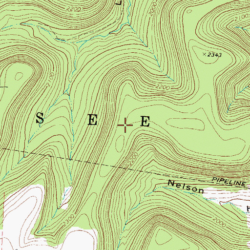 Topographic Map of Township of Genesee, PA