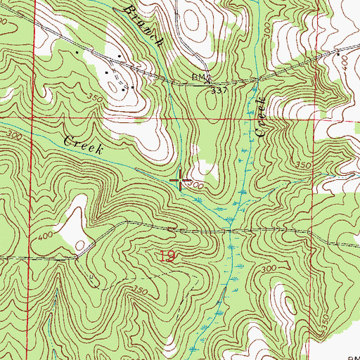 Topographic Map of Little Branch, AL
