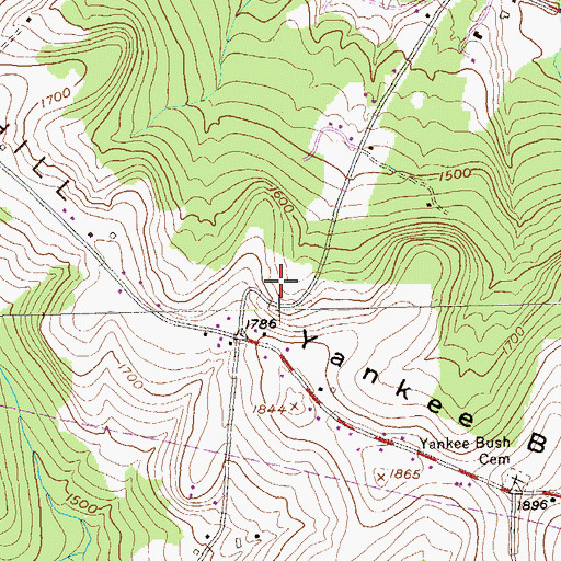 Topographic Map of Township of Conewango, PA