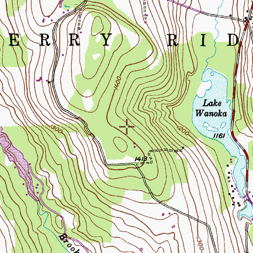 Topographic Map of Township of Cherry Ridge, PA