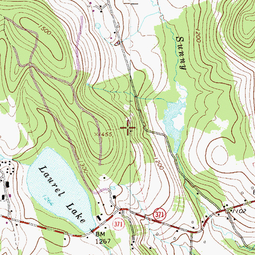 Topographic Map of Township of Damascus, PA