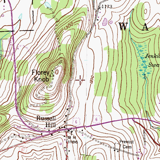 Topographic Map of Township of Washington, PA
