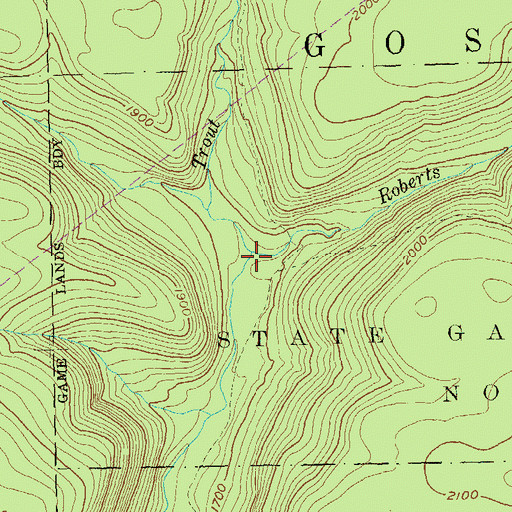 Topographic Map of Roberts Run, PA