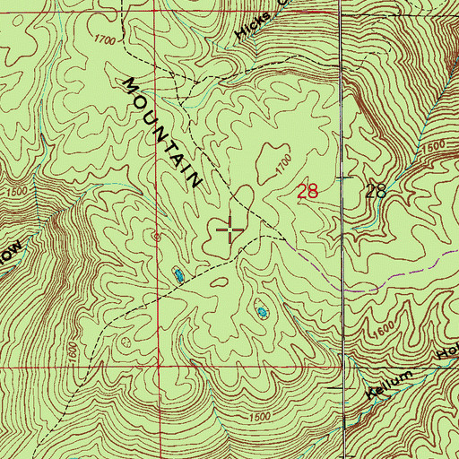 Topographic Map of Little Coon Mountain, AL