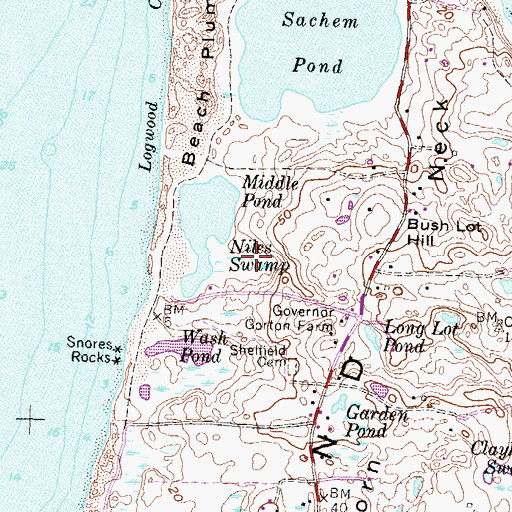 Topographic Map of Niles Swamp, RI