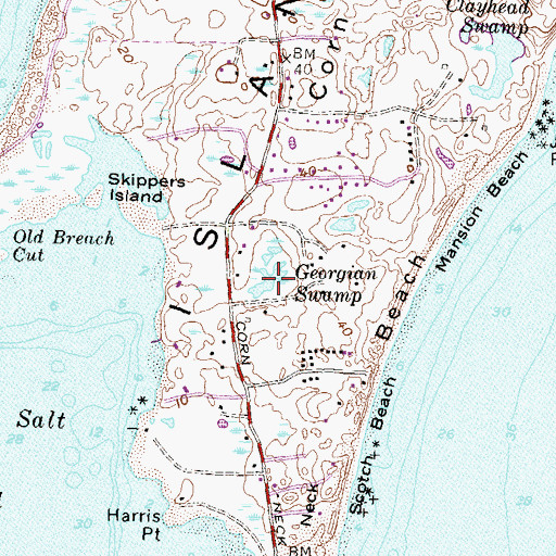 Topographic Map of Georgian Swamp, RI