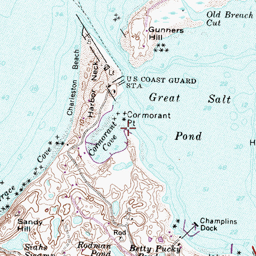 Topographic Map of Cormorant Point, RI