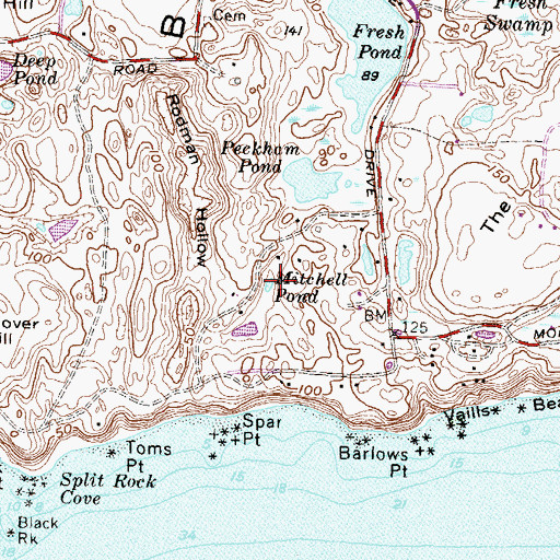 Topographic Map of Mitchell Pond, RI