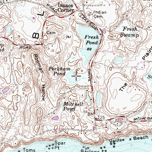 Topographic Map of Peckham Pond, RI