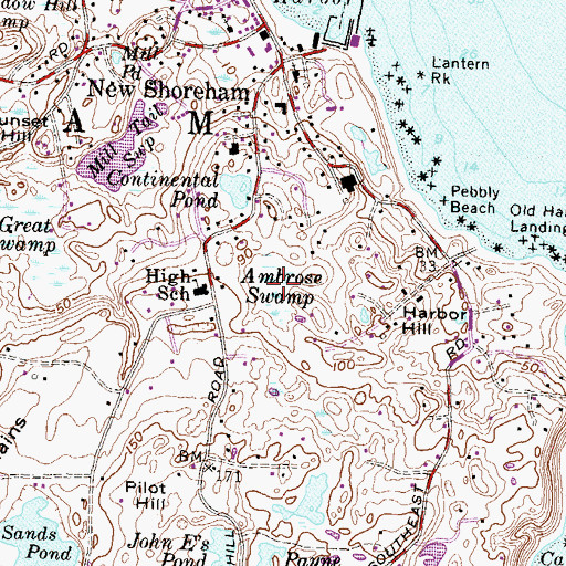 Topographic Map of Ambrose Swamp, RI