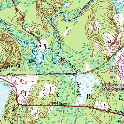 Topographic Map of McGowan Brook, RI