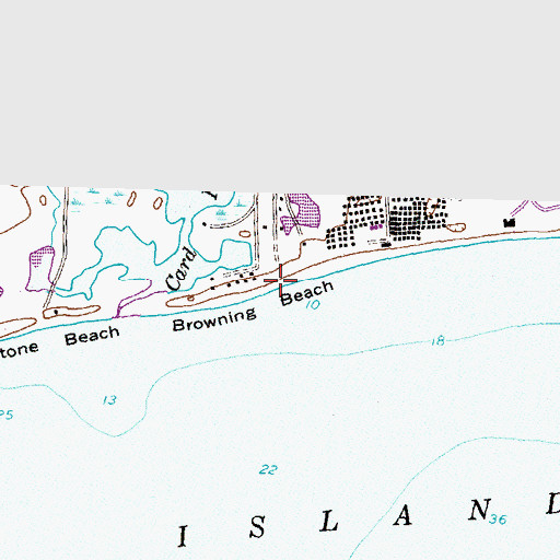 Topographic Map of Browning Beach, RI