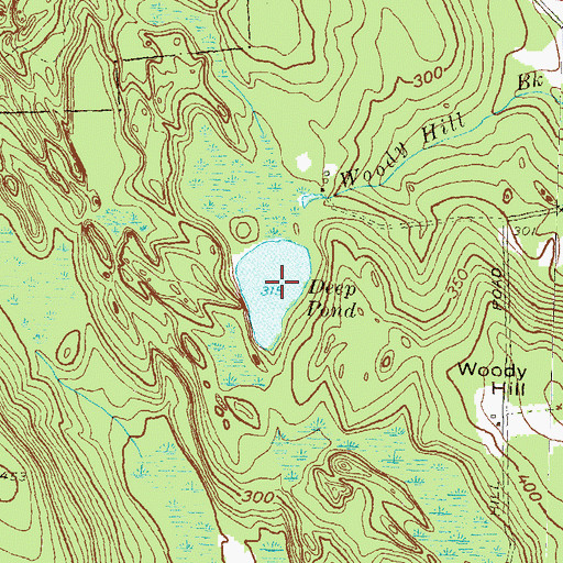 Topographic Map of Deep Pond, RI