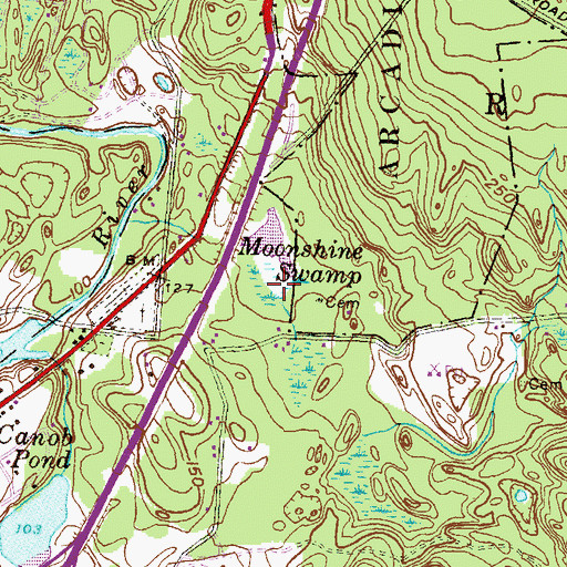 Topographic Map of Moonshine Swamp, RI