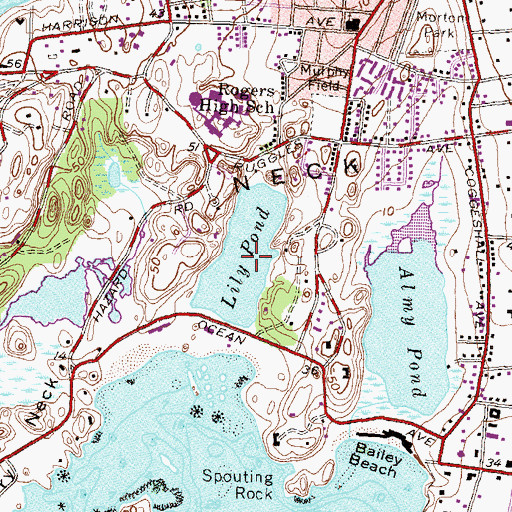 Topographic Map of Lily Pond, RI