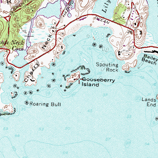 Topographic Map of Gooseberry Island, RI