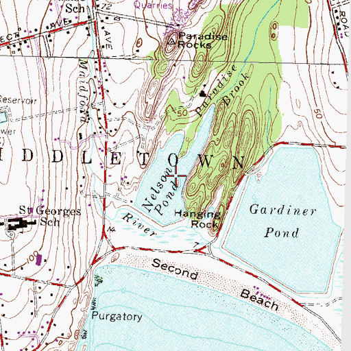 Topographic Map of Nelson Pond, RI