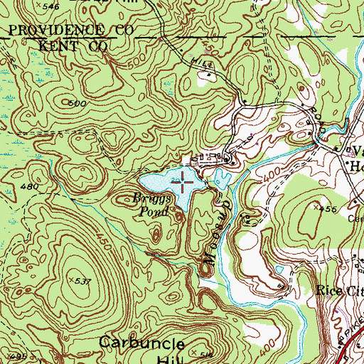 Topographic Map of Briggs Pond, RI