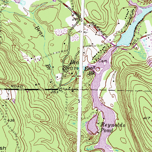 Topographic Map of Bear Swamp, RI