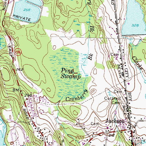 Topographic Map of Pine Swamp, RI