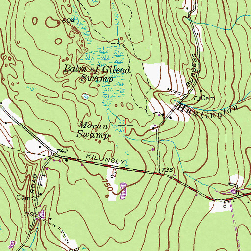 Topographic Map of Moran Swamp, RI