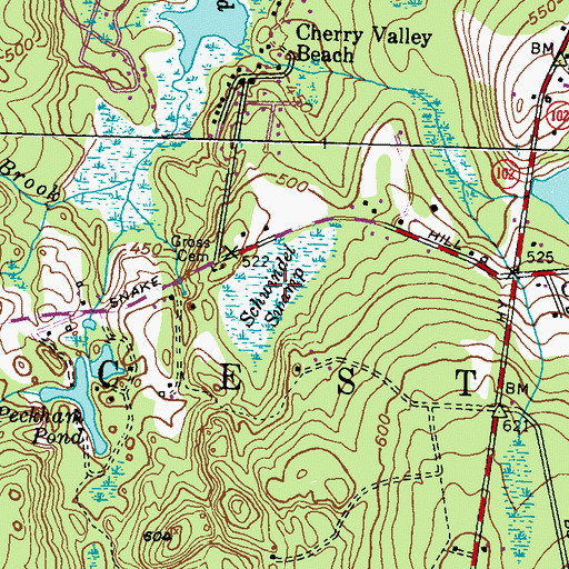 Topographic Map of Schwindel Swamp, RI