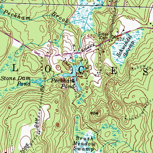 Topographic Map of Peckham Pond, RI