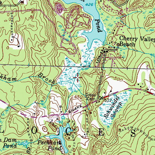 Topographic Map of Peckham Brook, RI