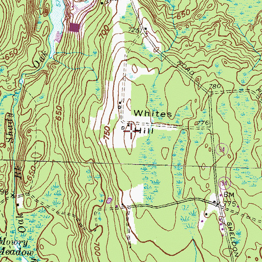 Topographic Map of Whites Hill, RI