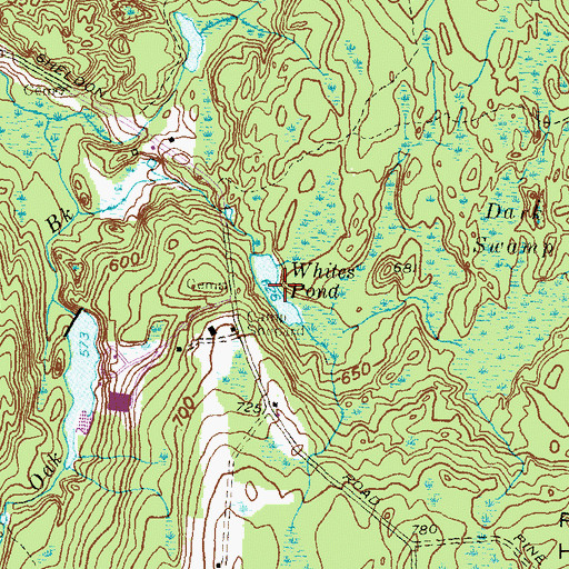 Topographic Map of Whites Pond, RI