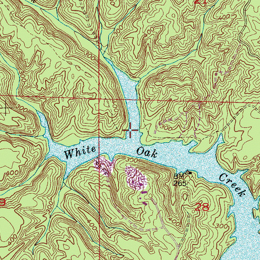 Topographic Map of Little White Oak Creek, AL