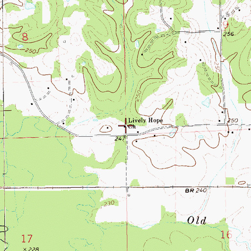 Topographic Map of Lively Hope Church, AL