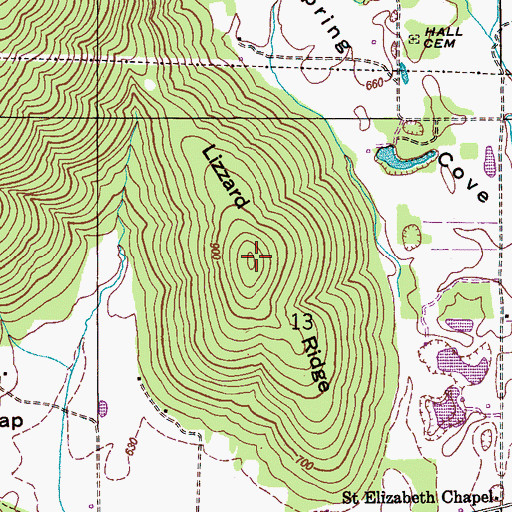 Topographic Map of Lizzard Ridge, AL