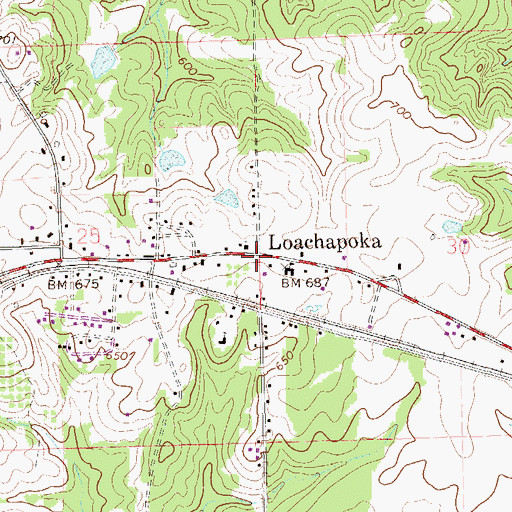 Topographic Map of Loachapoka, AL