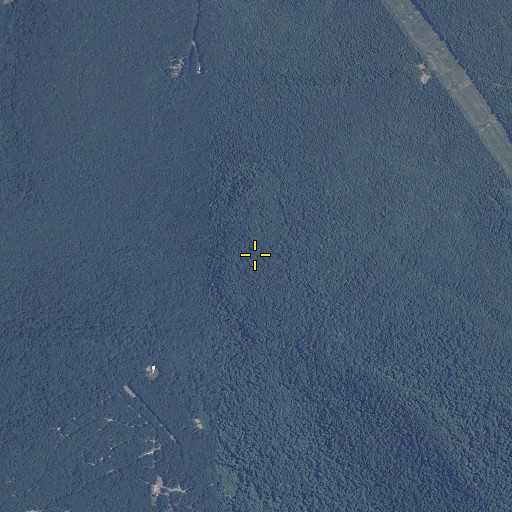 Aerial/Satellite Image of Logan Point, AL