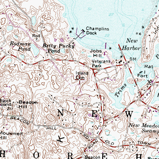 Topographic Map of Island Cemetery, RI