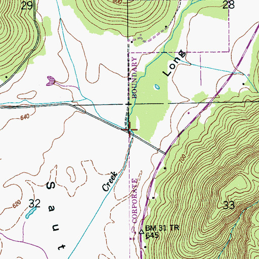 Topographic Map of Long Hollow, AL