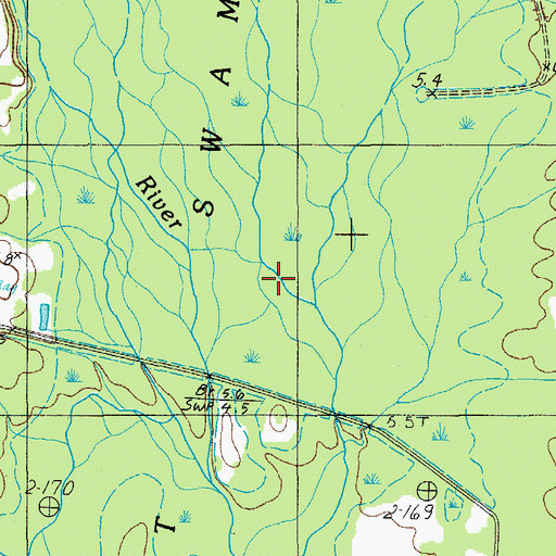 Topographic Map of Great Swamp, SC