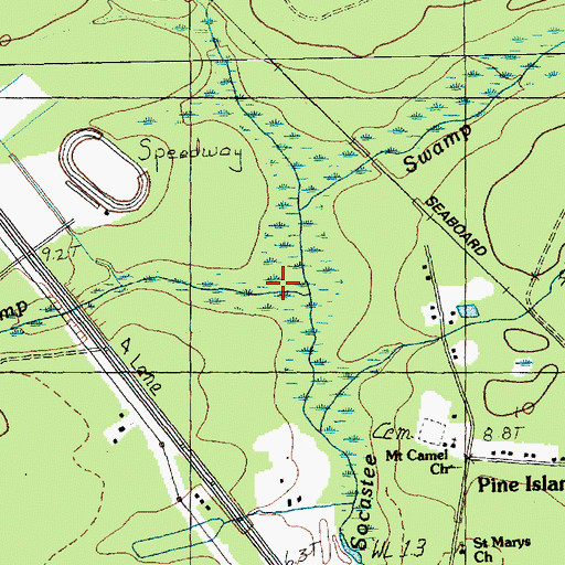 Topographic Map of Cross Swamp, SC