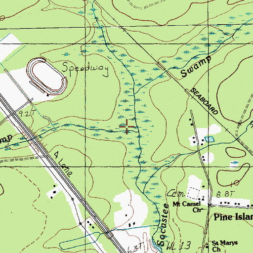 Topographic Map of Cross Swamp, SC
