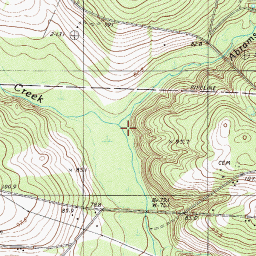 Topographic Map of Abrams Branch, SC