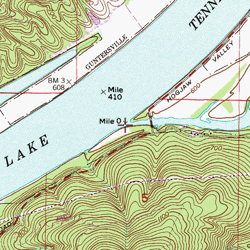 Topographic Map of Long Island Cove, AL